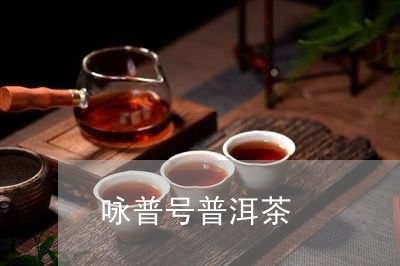 咏普号普洱茶/2023042597371