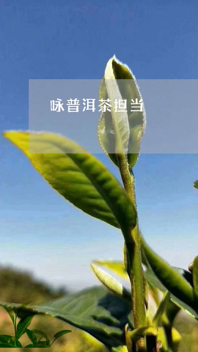 咏普洱茶担当/2023042714370