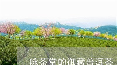 咏茶堂的御藏普洱茶/2023120552525