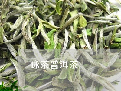 咏茶普洱茶/2023090662606