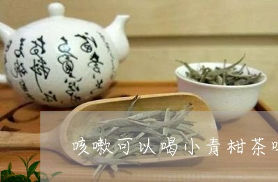 咳嗽可以喝小青柑茶吗/2023092147483