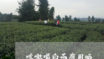 咳嗽喝白茶有用吗/2023061621626