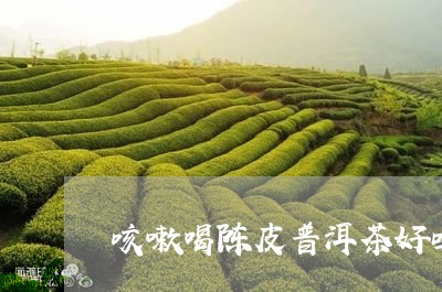 咳嗽喝陈皮普洱茶好吗/2023062448271