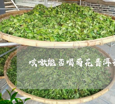 咳嗽能否喝菊花普洱茶呢/2023082506060