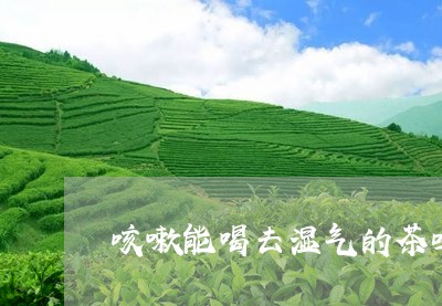 咳嗽能喝去湿气的茶吗/2023071490617