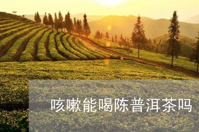 咳嗽能喝陈普洱茶吗/2023091587279