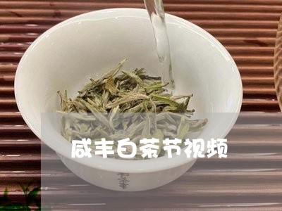 咸丰白茶节视频/2023073087250