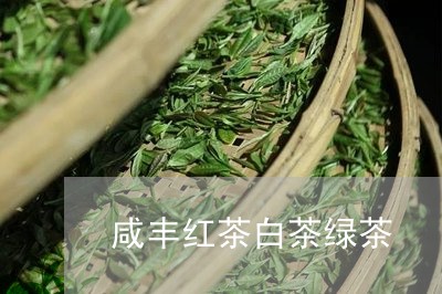 咸丰红茶白茶绿茶/2023061693803