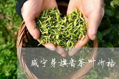 咸宁芽旗香茶叶价格/2023042695049