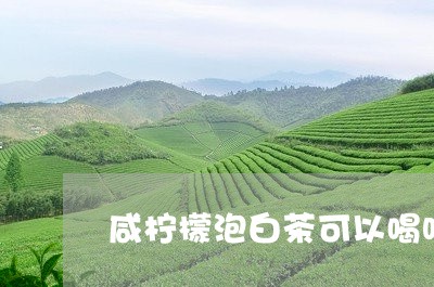 咸柠檬泡白茶可以喝吗/2023111754140