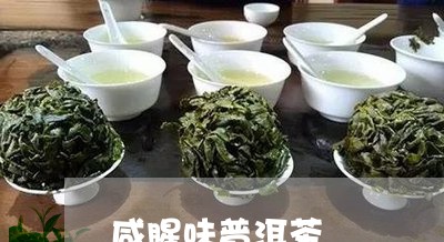 咸腥味普洱茶/2023081872614