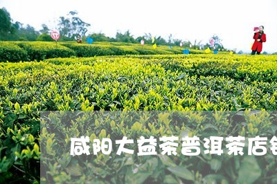 咸阳大益茶普洱茶店铺/2023092928270