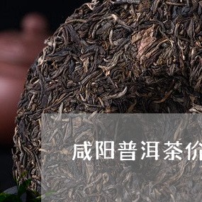 咸阳普洱茶价格多少一斤/2023050403694