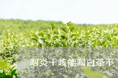 咽炎干咳能喝白茶不/2023081393814