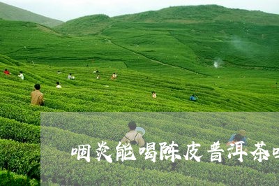 咽炎能喝陈皮普洱茶吗/2023092923048