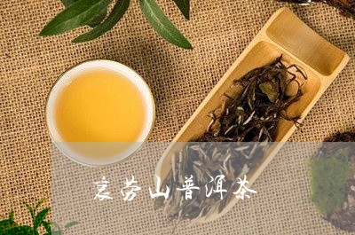 哀劳山普洱茶/2023042994568