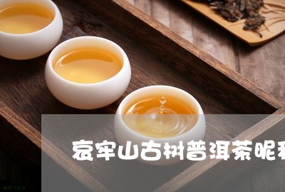 哀牢山古树普洱茶昵称/2023092640946