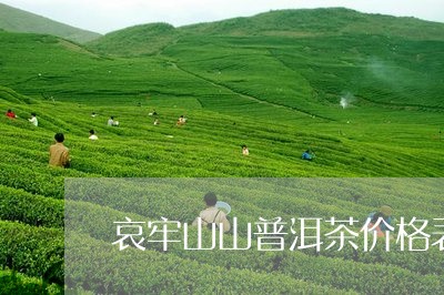 哀牢山山普洱茶价格表/2023072263616