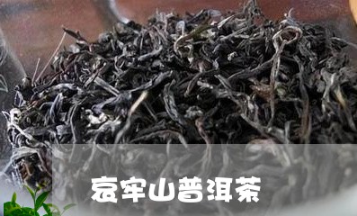 哀牢山普洱茶/2023042931635