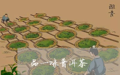 品一味普洱茶/2023042902003