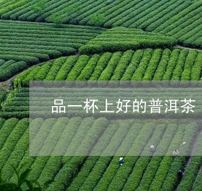 品一杯上好的普洱茶/2023120597260