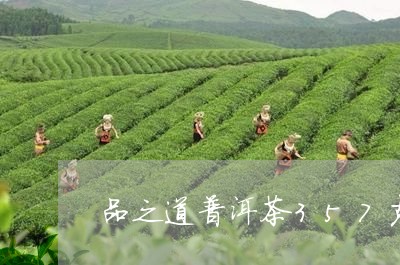 品之道普洱茶357克多少钱/2023102502513