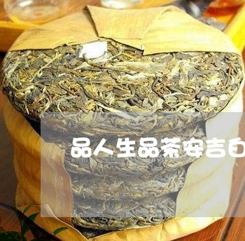 品人生品茶安吉白茶/2023071617058