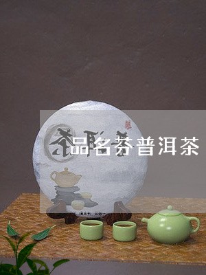 品名芬普洱茶/2023101605260