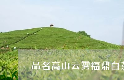 品名高山云雾福鼎白茶/2023091504151