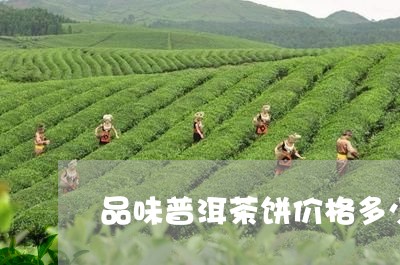 品味普洱茶饼价格多少一斤/2023121545360