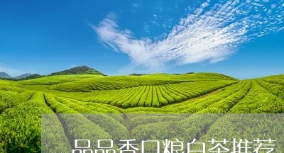 品品香口粮白茶推荐/2023121800392