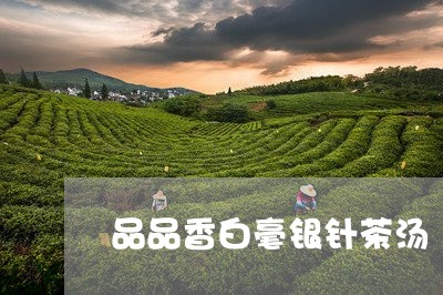 品品香白毫银针茶汤/2023091428714