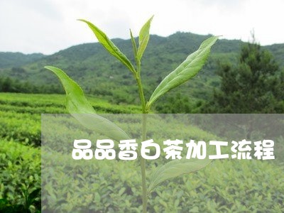 品品香白茶加工流程/2023121866047