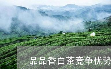 品品香白茶竞争优势/2023121810603