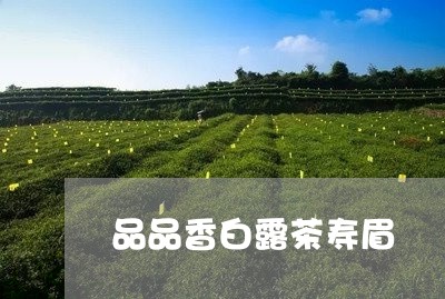 品品香白露茶寿眉/2023090851935