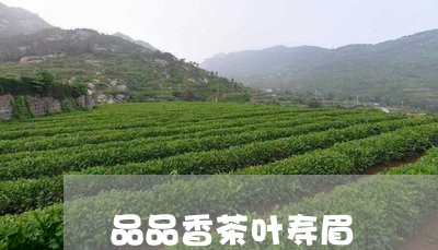 品品香茶叶寿眉/2023112467147