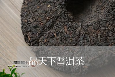 品天下普洱茶/2023042846034