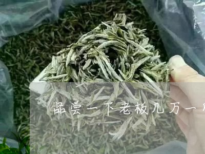 品尝一下老板几万一斤的普洱茶/2023082638514