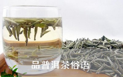 品普洱茶俗语/2023042604011