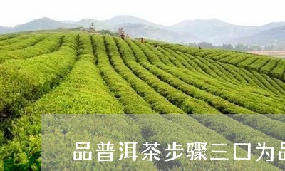 品普洱茶步骤三口为品/2023061591625