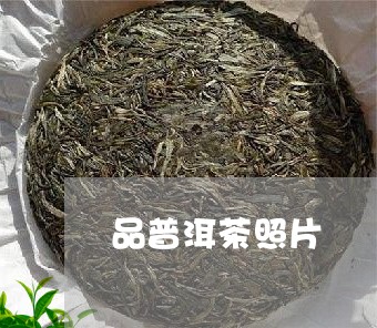 品普洱茶照片/2023042737557