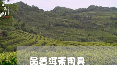 品普洱茶用具/2023042876082