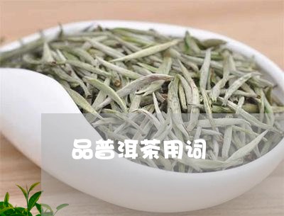 品普洱茶用词/2023042707461