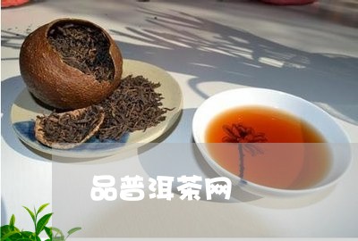 品普洱茶网/2023090634940