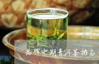 品牌中期普洱茶排名/2023071082614