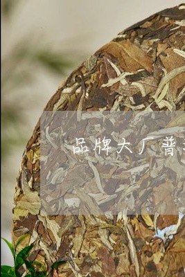 品牌大厂普洱茶新茶/2023082952517