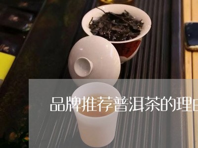 品牌推荐普洱茶的理由是什么/2023121562614