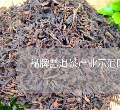 品牌普洱茶产业示范区/2023092919737