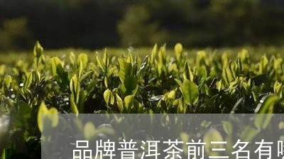 品牌普洱茶前三名有哪些牌子/2023082833948