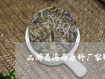 品牌普洱茶原料厂家联系方式/2023052853926